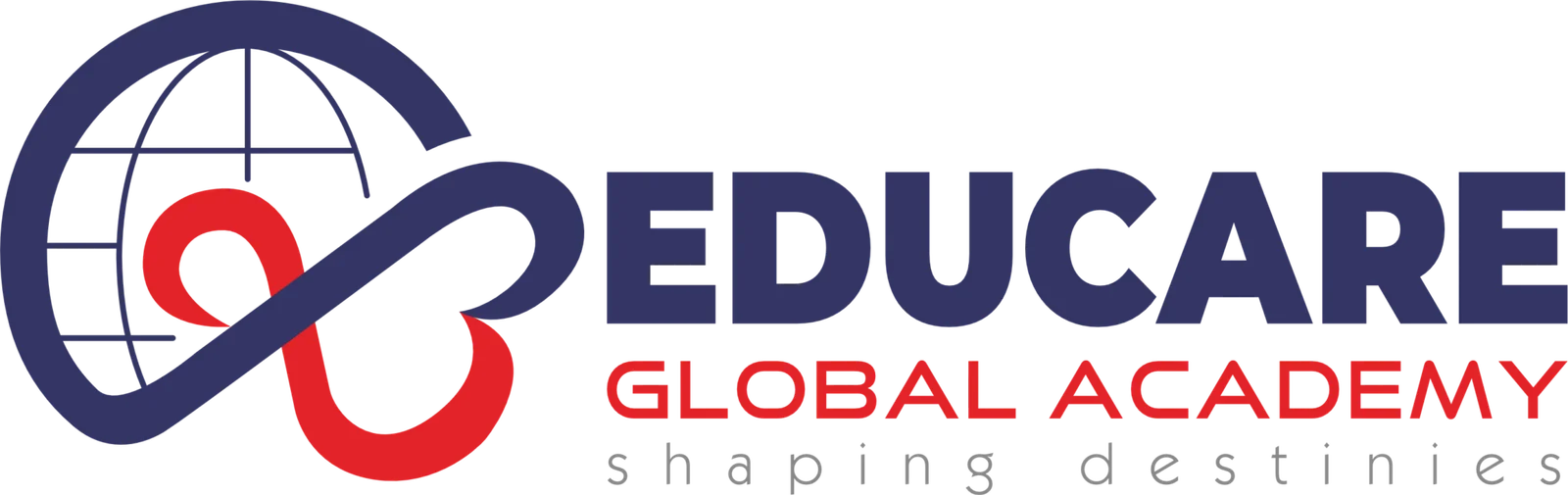 Partner University